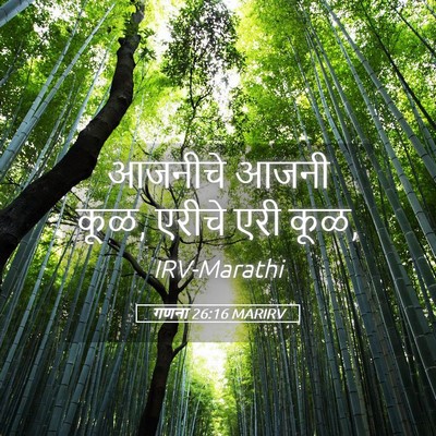 Picture 05 - गणना 26:16 MARIRV - आजनीचे आजनी कूळ, - Bible Verse Picture