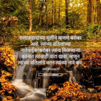 Picture 05 - गणना 27:7 MARIRV - सलाफहादाच्या - Bible Verse Picture