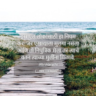 Picture 05 - गणना 27:8 MARIRV - इस्राएल लोकांसाठी - Bible Verse Picture