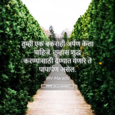 Picture 05 - गणना 28:22 MARIRV - तुम्ही एक बकराही - Bible Verse Picture