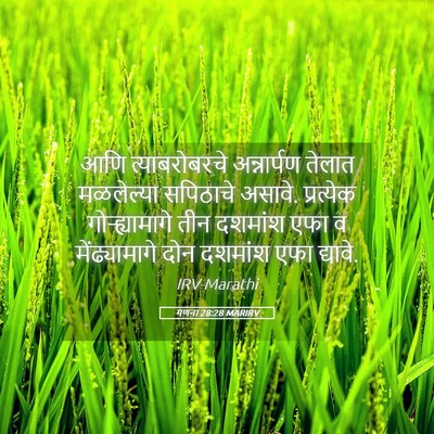 Picture 05 - गणना 28:28 MARIRV - आणि त्याबरोबरचे - Bible Verse Picture