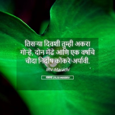 Picture 05 - गणना 29:20 MARIRV - तिसऱ्या दिवशी - Bible Verse Picture