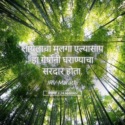 Picture 05 - गणना 3:24 MARIRV - लायेलाचा मुलगा - Bible Verse Picture