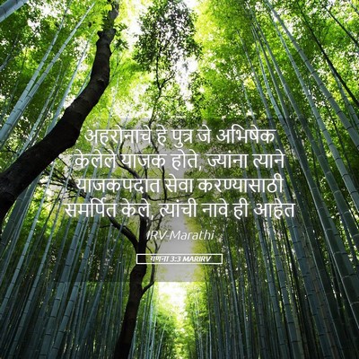 Picture 05 - गणना 3:3 MARIRV - अहरोनाचे हे पुत्र - Bible Verse Picture