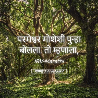 Picture 05 - गणना 3:44 MARIRV - परमेश्वर मोशेशी - Bible Verse Picture