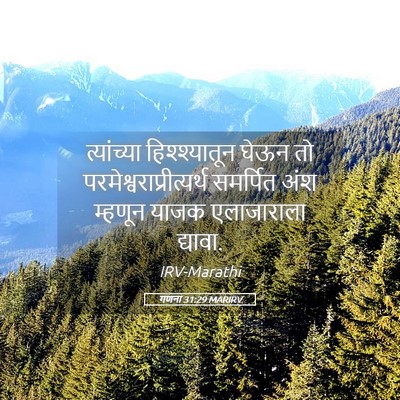 Picture 05 - गणना 31:29 MARIRV - त्यांच्या - Bible Verse Picture