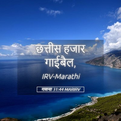Picture 05 - गणना 31:44 MARIRV - छत्तीस हजार - Bible Verse Picture