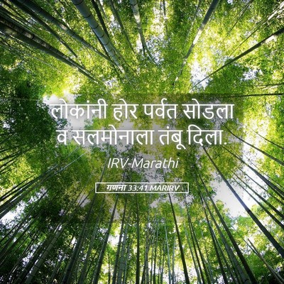 Picture 05 - गणना 33:41 MARIRV - लोकांनी होर पर्वत - Bible Verse Picture