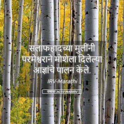 Picture 05 - गणना 36:10 MARIRV - सलाफहादच्या - Bible Verse Picture