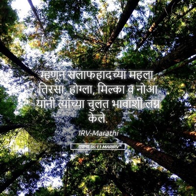 Picture 05 - गणना 36:11 MARIRV - म्हणून - Bible Verse Picture