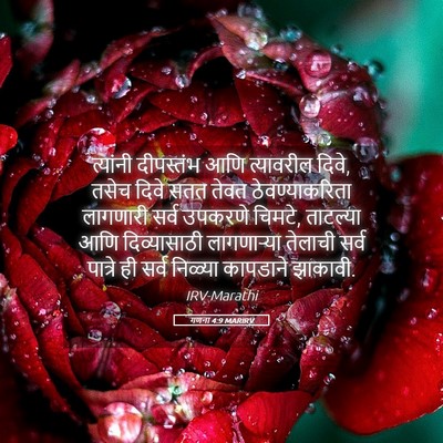 Picture 05 - गणना 4:9 MARIRV - त्यांनी दीपस्तंभ - Bible Verse Picture