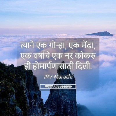 Picture 05 - गणना 7:21 MARIRV - त्याने एक गोऱ्हा, - Bible Verse Picture