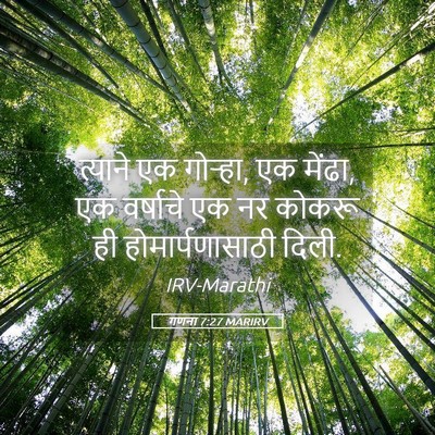 Picture 05 - गणना 7:27 MARIRV - त्याने एक गोऱ्हा, - Bible Verse Picture