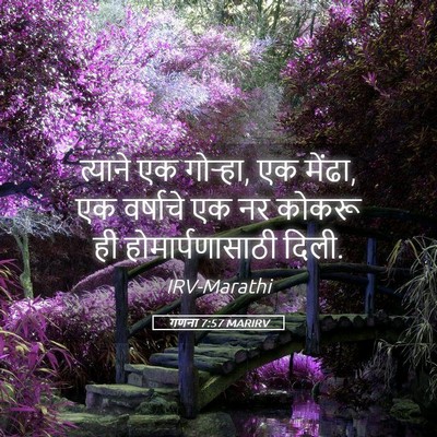 Picture 05 - गणना 7:57 MARIRV - त्याने एक गोऱ्हा, - Bible Verse Picture