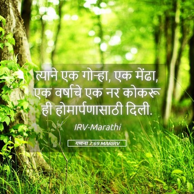 Picture 05 - गणना 7:69 MARIRV - त्याने एक गोऱ्हा, - Bible Verse Picture