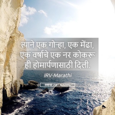 Picture 05 - गणना 7:81 MARIRV - त्याने एक गोऱ्हा, - Bible Verse Picture