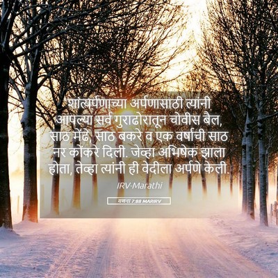 Picture 05 - गणना 7:88 MARIRV - शांत्यर्पणाच्या - Bible Verse Picture