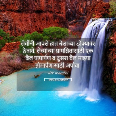 Picture 05 - गणना 8:12 MARIRV - लेवींनी आपले हात - Bible Verse Picture