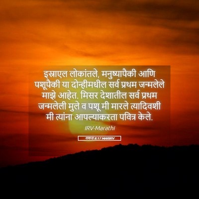 Picture 05 - गणना 8:17 MARIRV - इस्राएल लोकांतले, - Bible Verse Picture