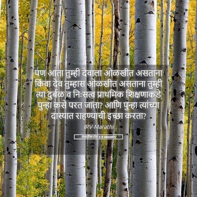 Picture 05 - गलतीकरांस 4:9 MARIRV - पण आता तुम्ही - Bible Verse Picture