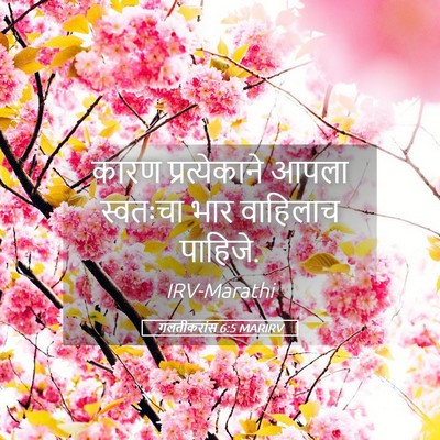 Picture 05 - गलतीकरांस 6:5 MARIRV - कारण प्रत्येकाने - Bible Verse Picture