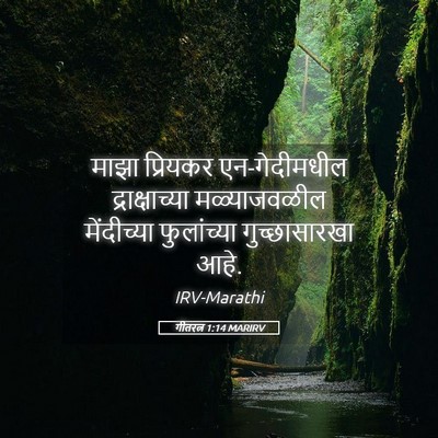 Picture 05 - गीतरत्न 1:14 MARIRV - माझा प्रियकर - Bible Verse Picture