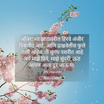 Picture 05 - गीतरत्न 2:13 MARIRV - अंजिराच्या - Bible Verse Picture