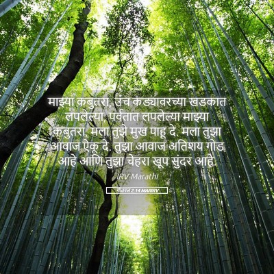 Picture 05 - गीतरत्न 2:14 MARIRV - माझ्या कबुतरा, उंच - Bible Verse Picture