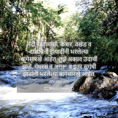 Picture 05 - गीतरत्न 4:14 MARIRV - मेंदी, जटामांसी, - Bible Verse Picture