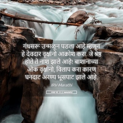 Picture 05 - जखऱ्या 11:2 MARIRV - गंधसरू उन्मळून - Bible Verse Picture