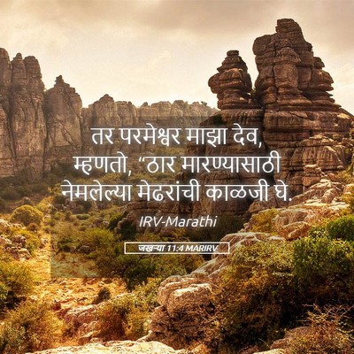 Picture 05 - जखऱ्या 11:4 MARIRV - तर परमेश्वर माझा - Bible Verse Picture