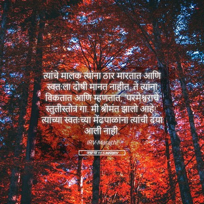 Picture 05 - जखऱ्या 11:5 MARIRV - त्यांचे मालक - Bible Verse Picture