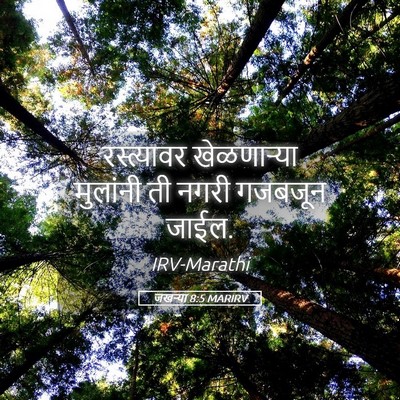 Picture 05 - जखऱ्या 8:5 MARIRV - रस्त्यावर - Bible Verse Picture