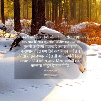 Picture 05 - दानिएल 11:6 MARIRV - काही वर्षानंतर - Bible Verse Picture