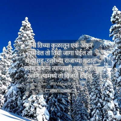 Picture 05 - दानिएल 11:7 MARIRV - तरी तिच्या - Bible Verse Picture