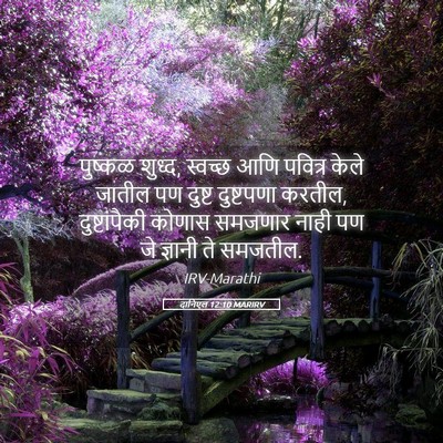 Picture 05 - दानिएल 12:10 MARIRV - पुष्कळ शुध्द, - Bible Verse Picture