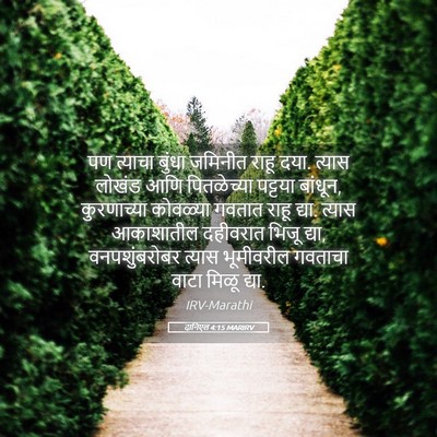 Picture 05 - दानिएल 4:15 MARIRV - पण त्याचा बुंधा - Bible Verse Picture