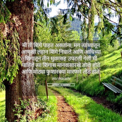Picture 05 - दानिएल 7:8 MARIRV - मी ती शिंगे पाहत - Bible Verse Picture