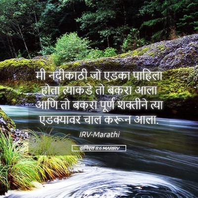 Picture 05 - दानिएल 8:6 MARIRV - मी नदीकाठी जो एडका - Bible Verse Picture