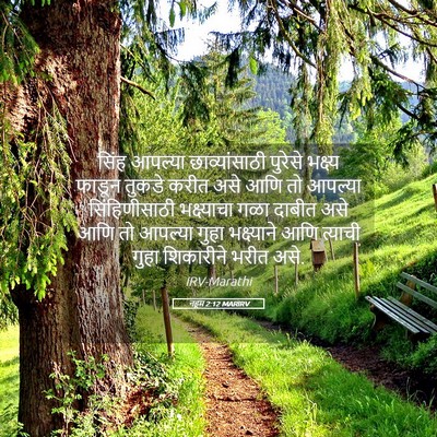 Picture 05 - नहूम 2:12 MARIRV - सिंह आपल्या - Bible Verse Picture