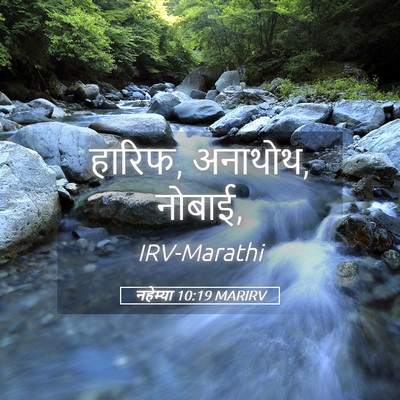 Picture 05 - नहेम्या 10:19 MARIRV - हारिफ, अनाथोथ, - Bible Verse Picture