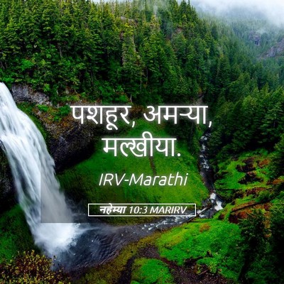 Picture 05 - नहेम्या 10:3 MARIRV - पशहूर, अमऱ्या, - Bible Verse Picture