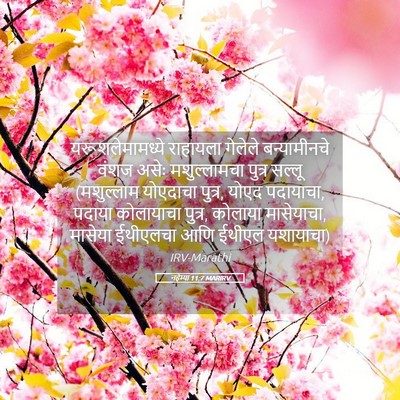 Picture 05 - नहेम्या 11:7 MARIRV - यरूशलेमामध्ये - Bible Verse Picture