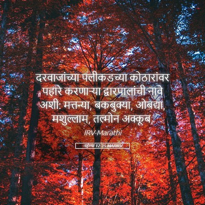 Picture 05 - नहेम्या 12:25 MARIRV - दरवाजांच्या - Bible Verse Picture