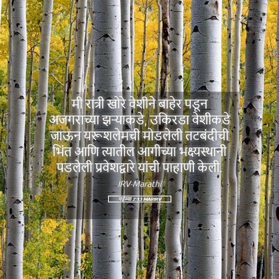 Picture 05 - नहेम्या 2:13 MARIRV - मी रात्री खोरे - Bible Verse Picture