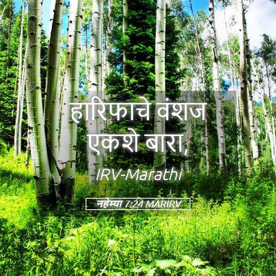 Picture 05 - नहेम्या 7:24 MARIRV - हारिफाचे वंशज - Bible Verse Picture