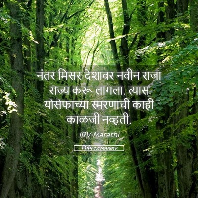 Picture 05 - निर्गम 1:8 MARIRV - नंतर मिसर देशावर - Bible Verse Picture