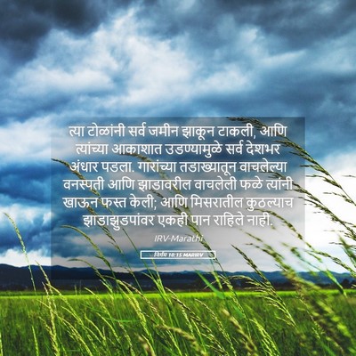 Picture 05 - निर्गम 10:15 MARIRV - त्या टोळांनी सर्व - Bible Verse Picture