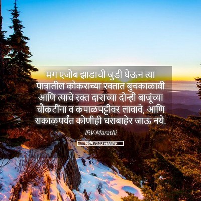 Picture 05 - निर्गम 12:22 MARIRV - मग एजोब झाडाची - Bible Verse Picture