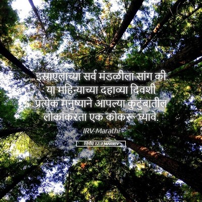 Picture 05 - निर्गम 12:3 MARIRV - इस्राएलाच्या सर्व - Bible Verse Picture